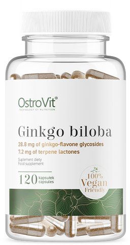 OstroVit Vege Ginkgo Biloba 120 капсул (Островіт Гінкго Білоба) 970204 фото