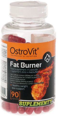 OstroVit Fat Burner 90 таблеток (ОстроВіт Жироспалювач) 391300 фото